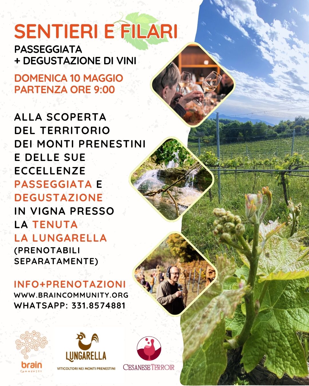 sentieri e filari